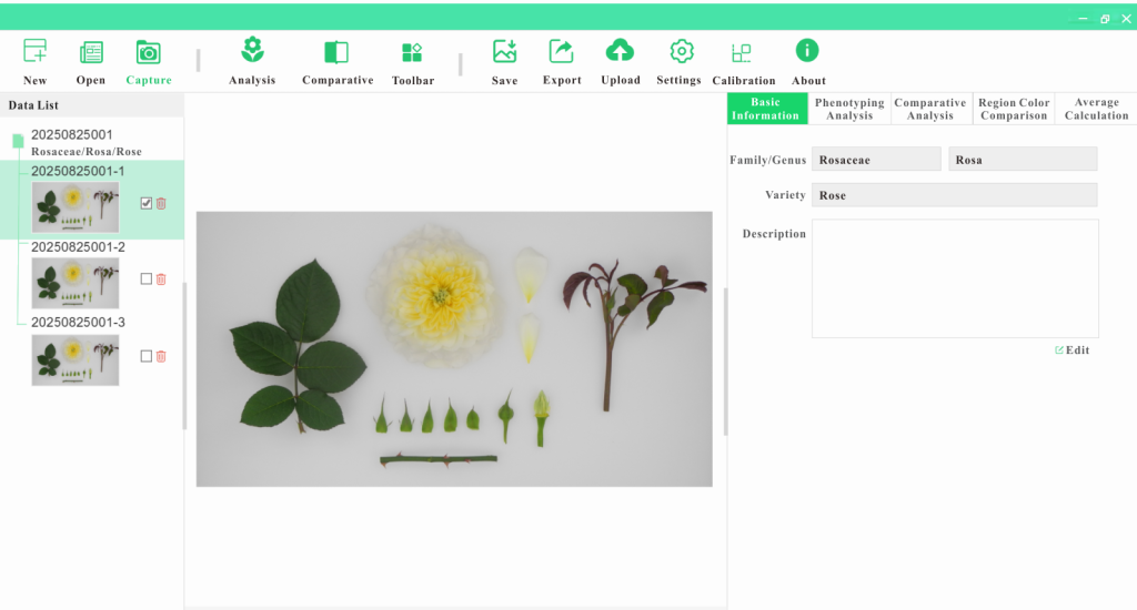 flowerlangtrans vl2​ software