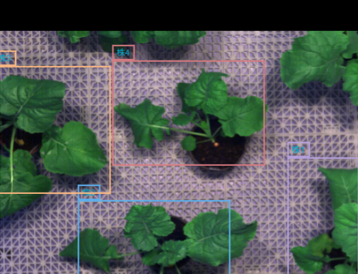 gantrylangtrans​ roi