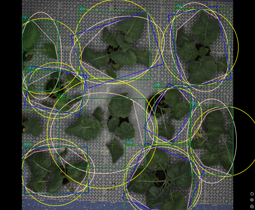 gantrylangtrans​ vl2