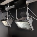 plantlangtrans HIPS​(4)