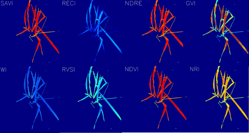 plantlangtrans ht hips​
