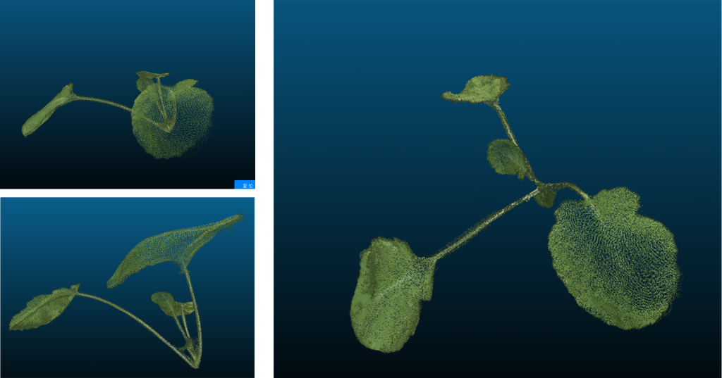 plantlangtrans ht vl3