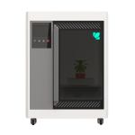 plantlangtrans vl2(1)