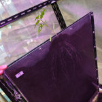 rootlangtrans rhizobox​(3)