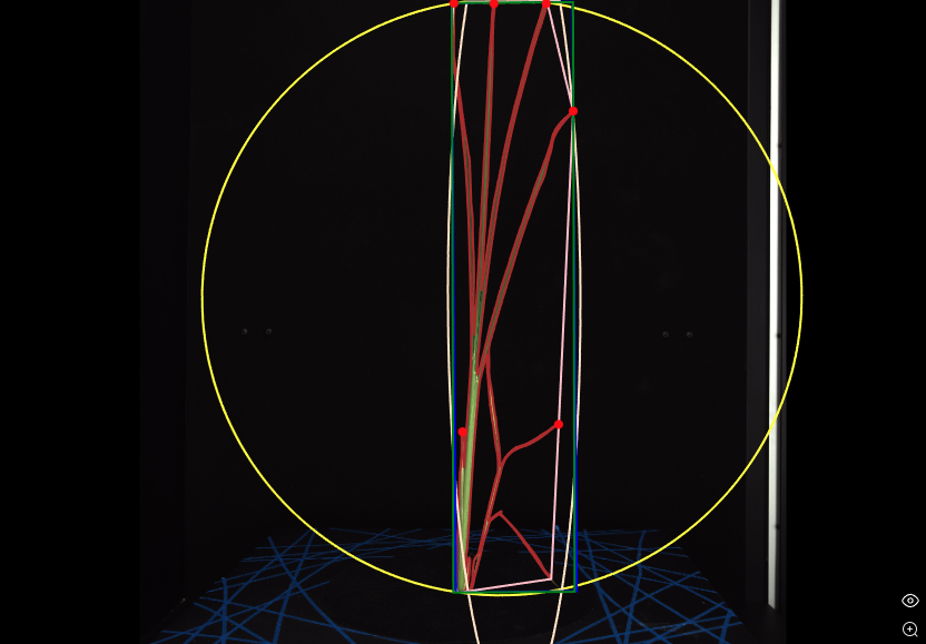 小表型分析界面二维